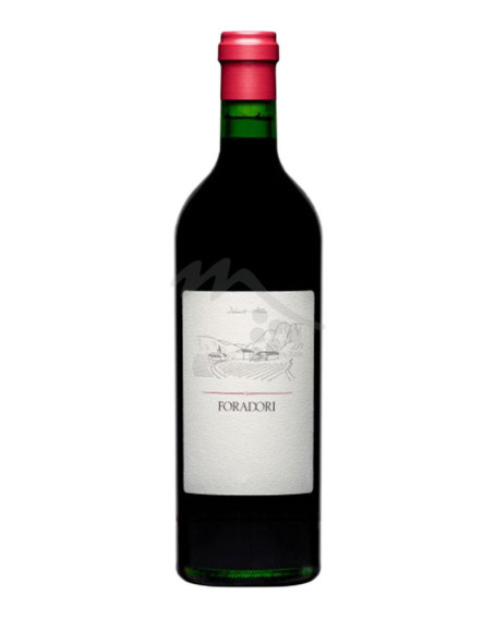 Teroldego 2023 Vigneti delle Dolomiti IGT Foradori