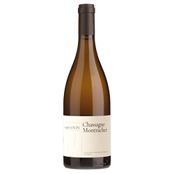 Chassagne Montrachet