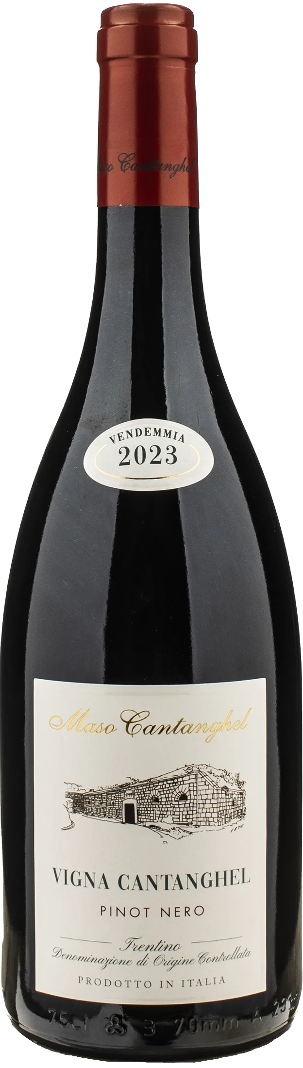 Vigna Cantanghel Pinot Nero