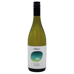 Colline Pescaresi Pecorino