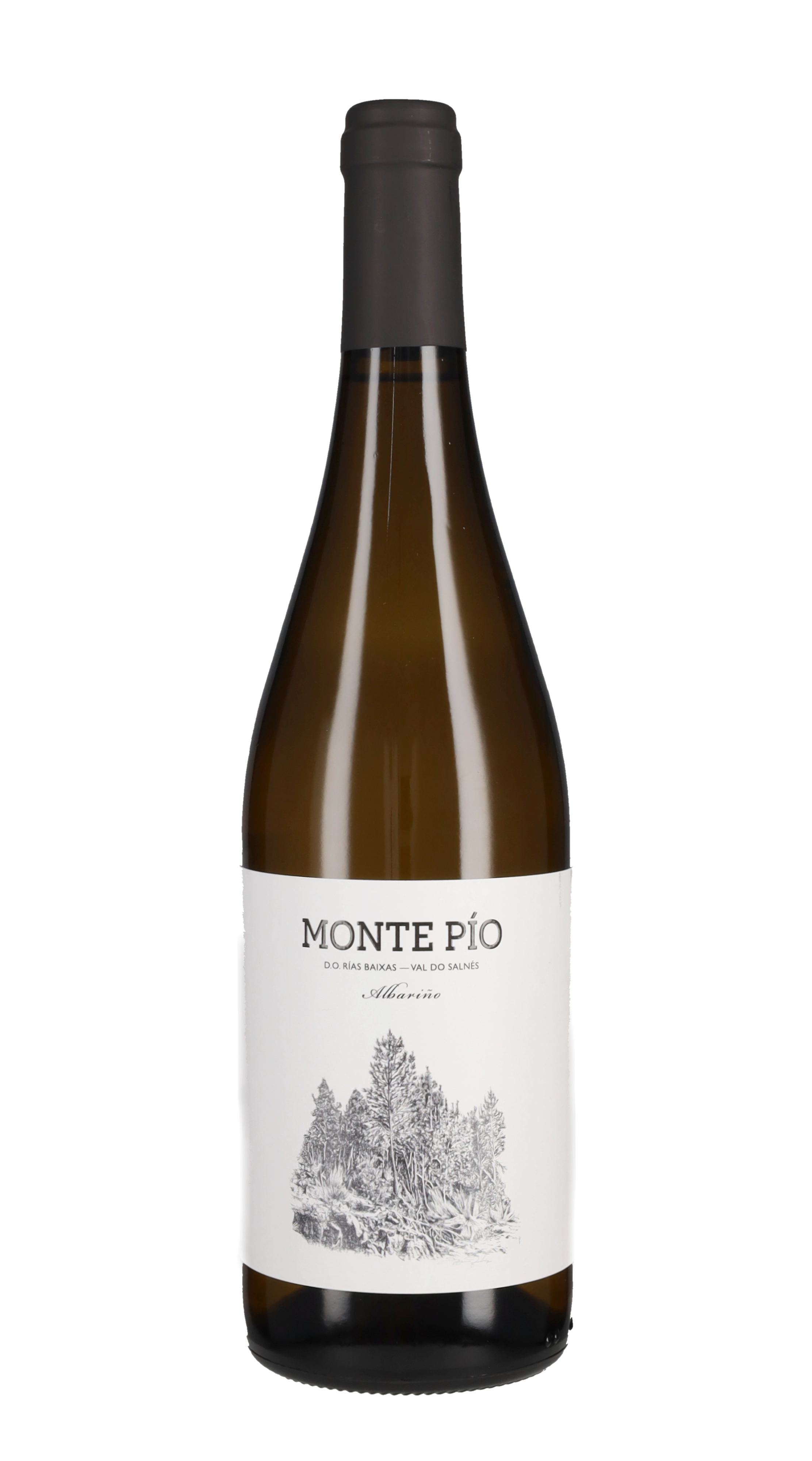 Albarino Monte Pio