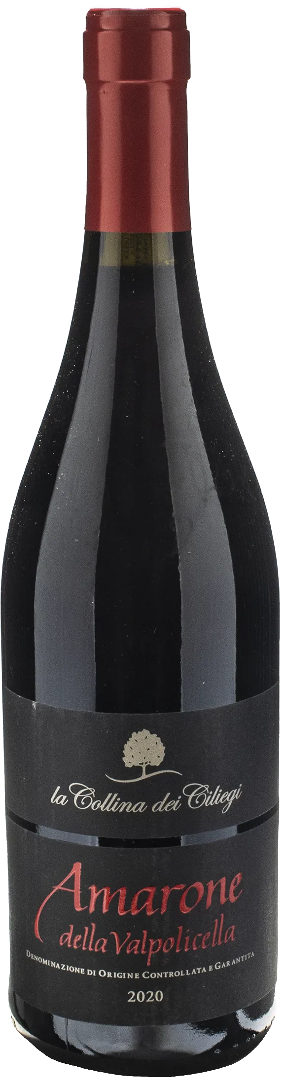 Amarone della Valpolicella