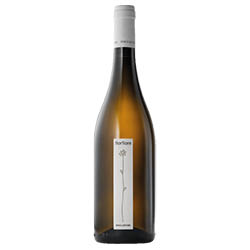 Umbria IGT Grechetto FiorFiore Cantina Roccafiore