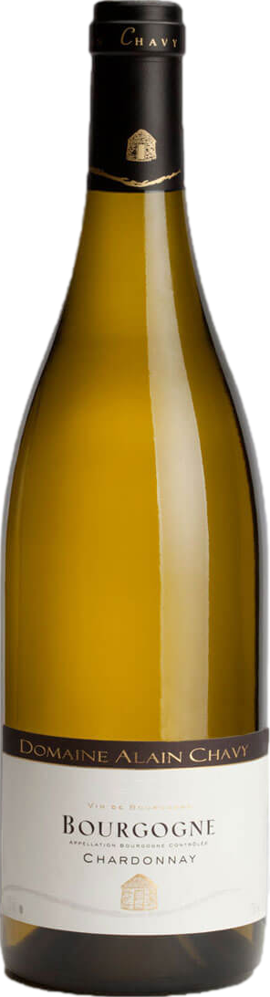 Domaine Alain Chavy Bourgogne Chardonnay 2023
