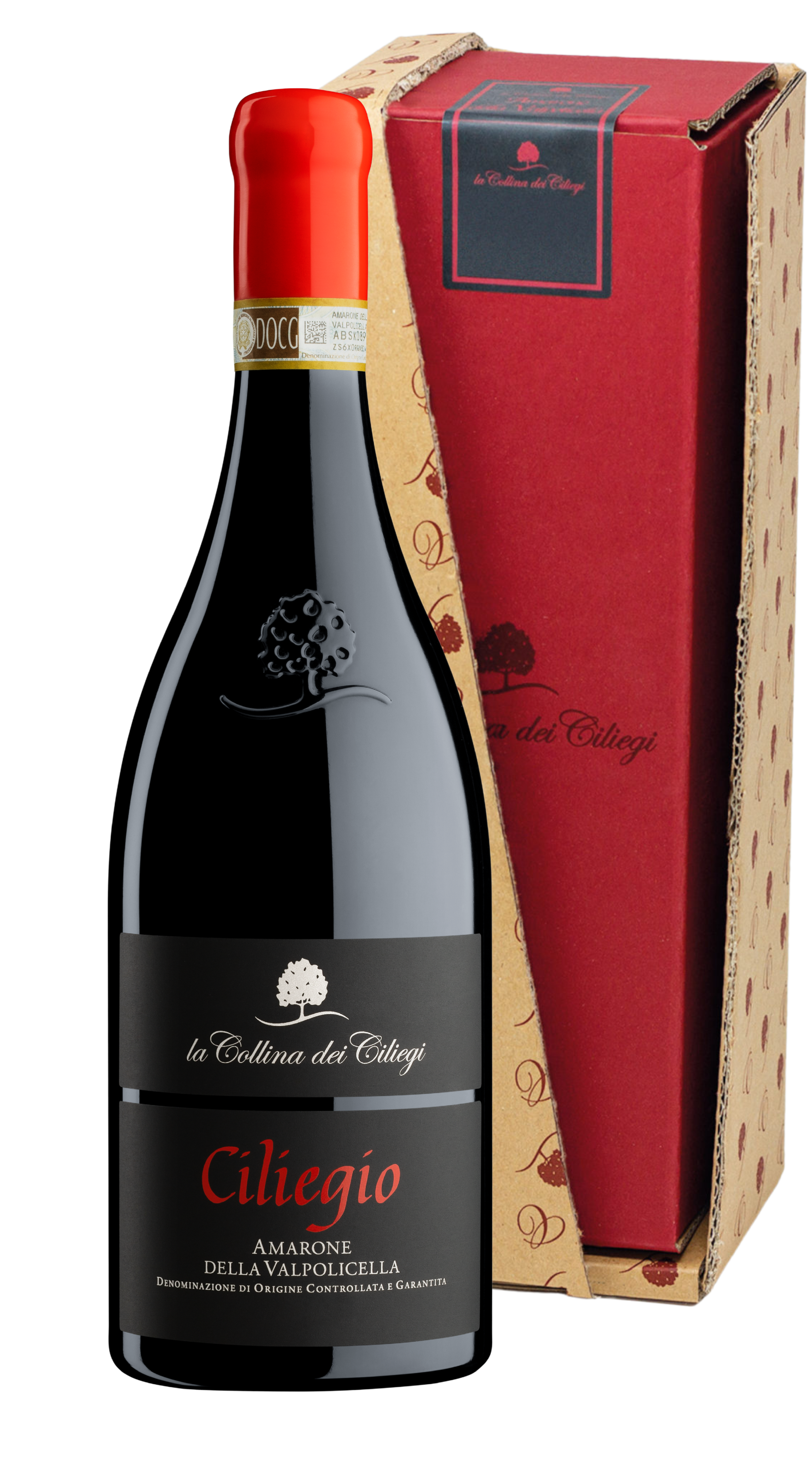 Amarone della Valpolicella 'Ciliegio' (Confezione)