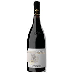 San Patrignano Montepirolo Colli di Rimini Cabernet Sauvignon DOC 2021 0,75 ℓ