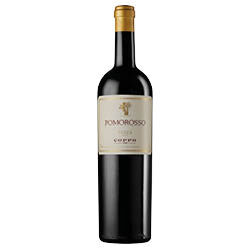 Coppo Pomorosso Nizza DOCG 2022 0,75 ℓ