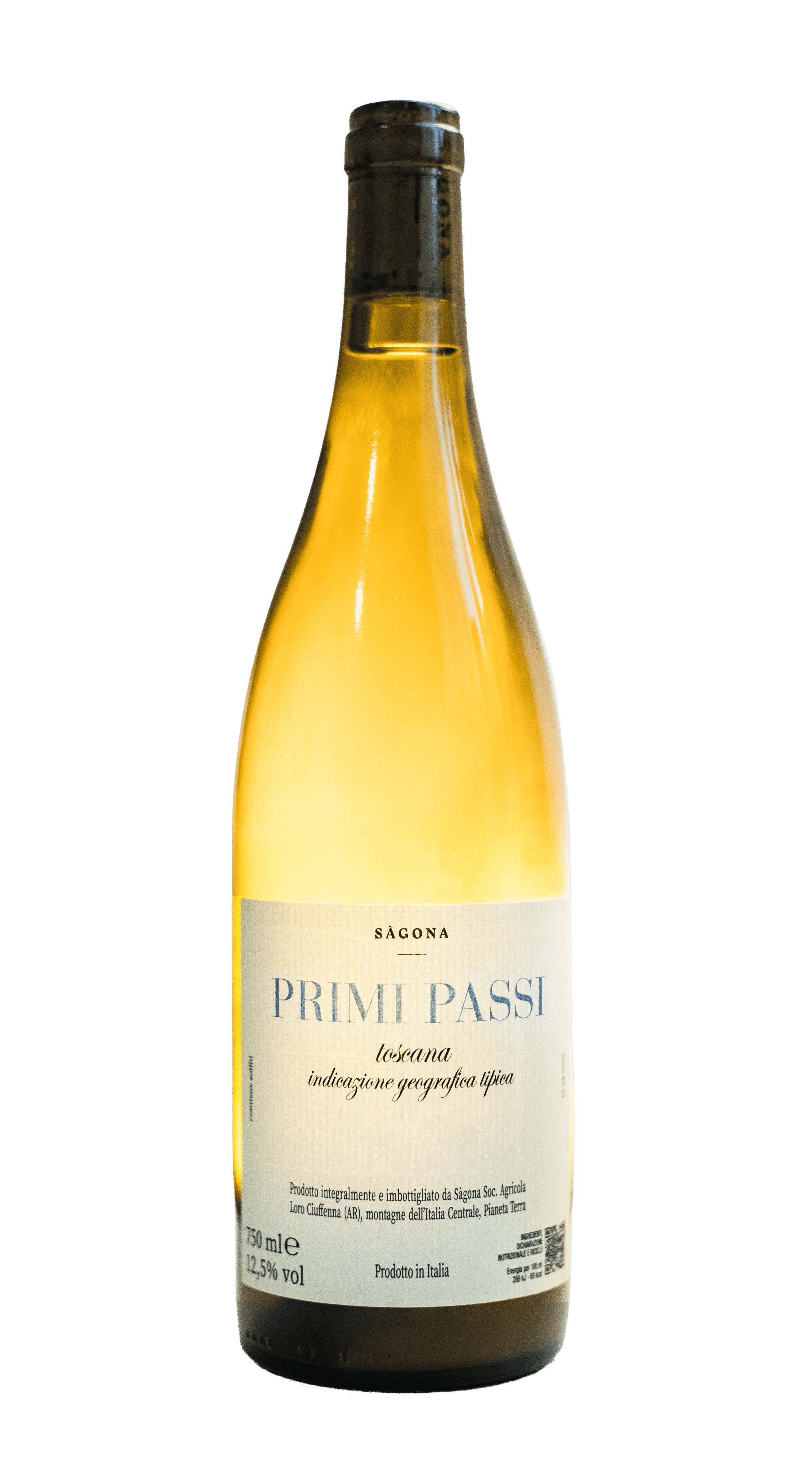 'Primi Passi' Sagona