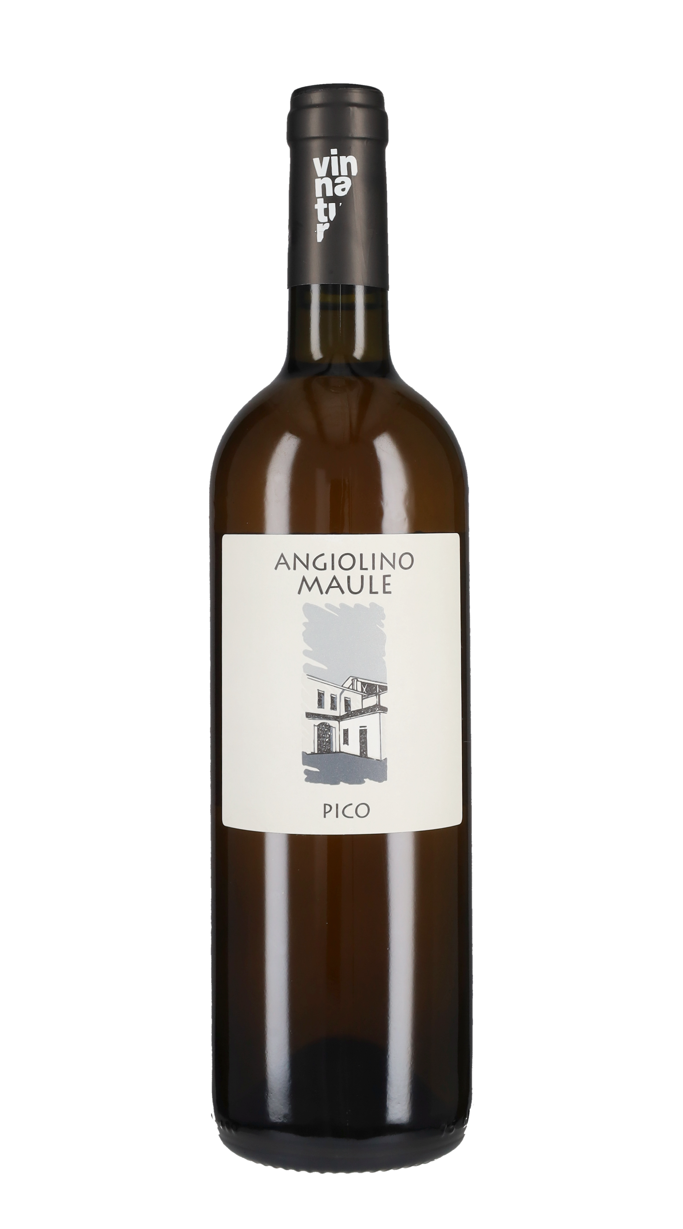 Pico Angiolino Maule - La Biancara