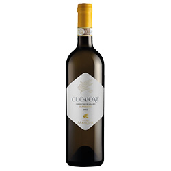 Vermentino di Gallura Superiore Cucaione