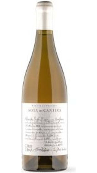 Bianco IGT Alberata Prefilossera