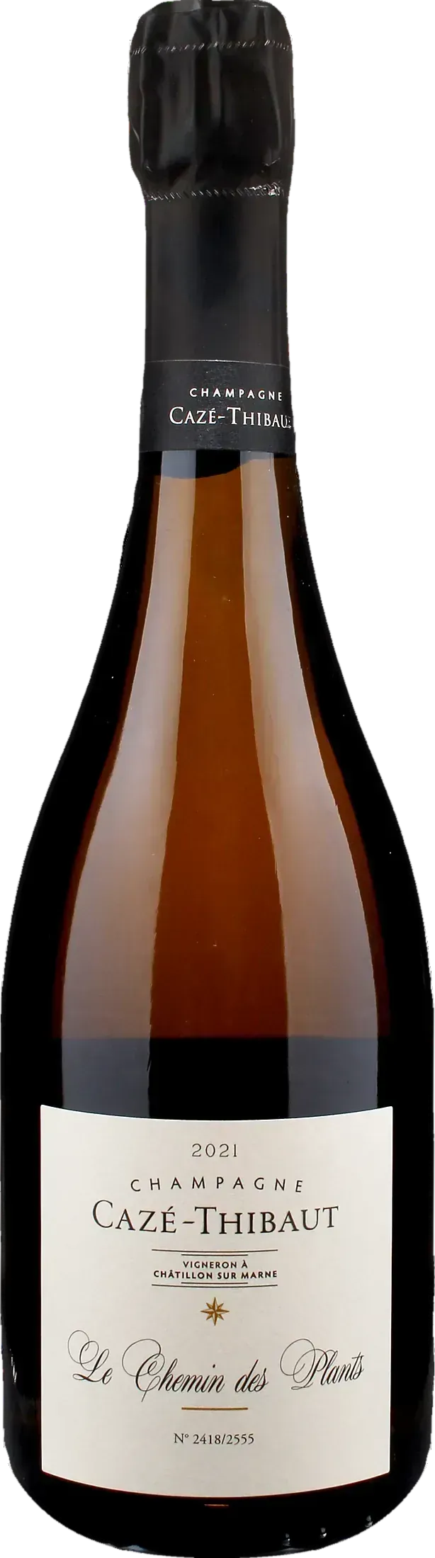 Champagne Chemin des Plants Extra Brut