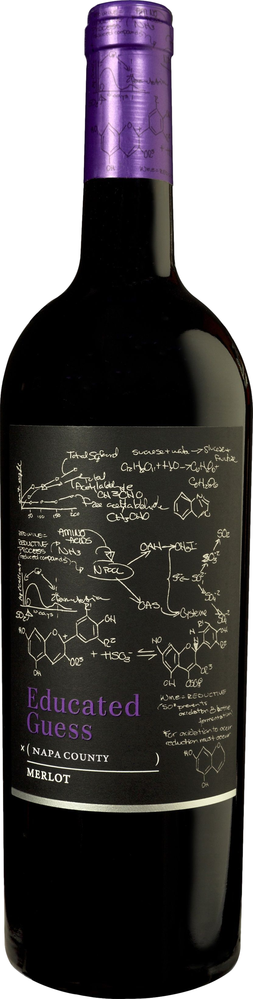 Roots Run Deep Educated Guess Merlot 2023