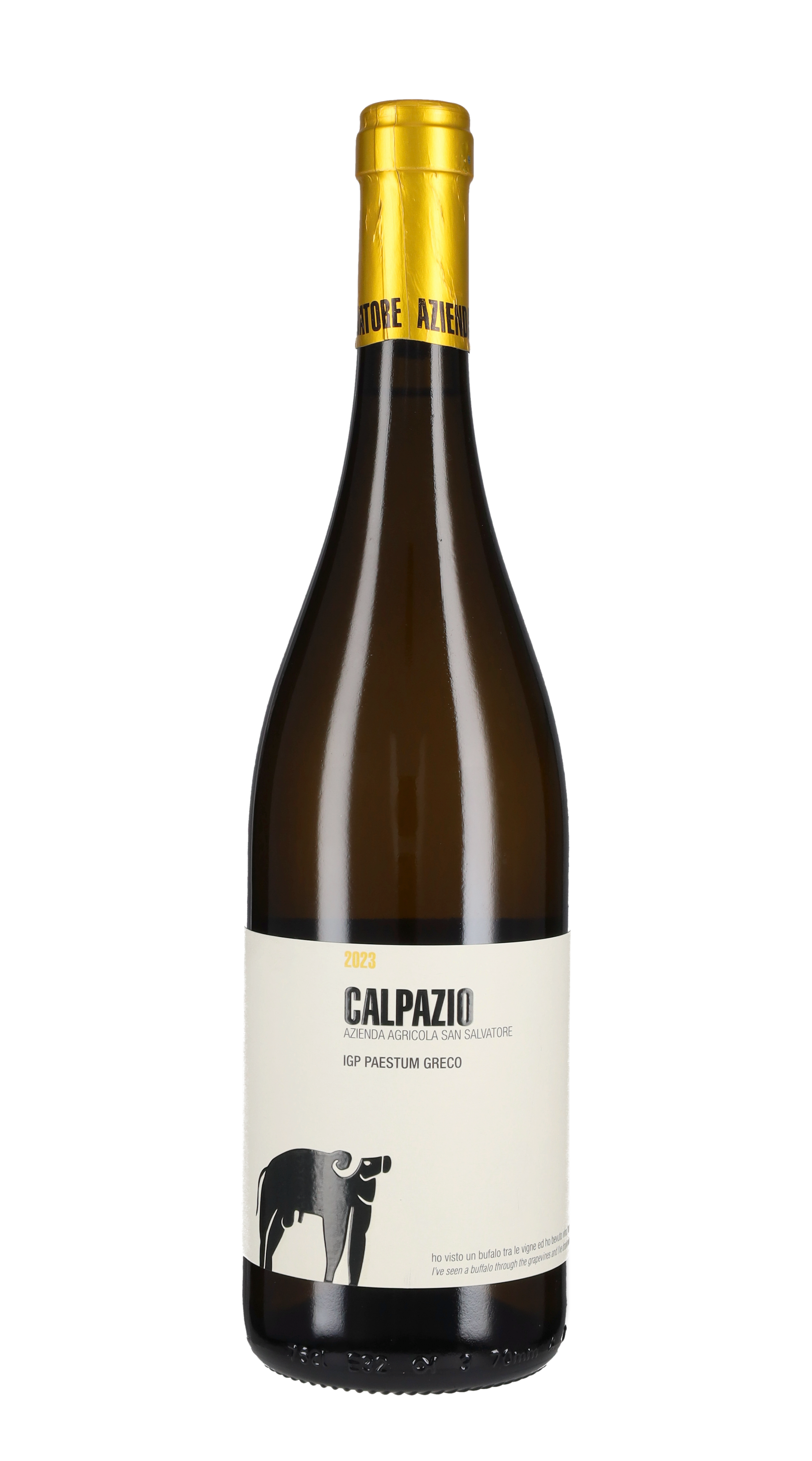 Greco 'Calpazio' San Salvatore