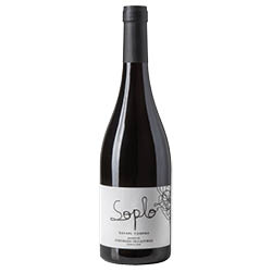 Bodega Rafael Cambra Soplo Valencia DO Tinto 2024 0,75 ℓ
