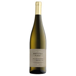 Cavit Bottega Vinai Müller Thurgau Trentino DOC 2025 0,75 ℓ