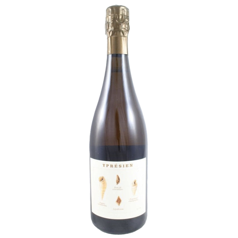 Champagne Blanc de Noirs Extra Brut Yprésien