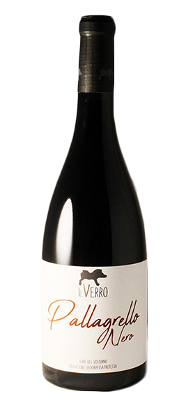 Pallagrello Nero Terre del Volturno IGP 2024
