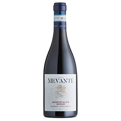 Mevante Montefalco DOC Rosso 2020 0,75 ℓ