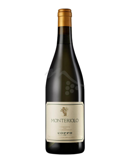 Monteriolo Chardonnay Piemonte DOC Coppo - Magnum