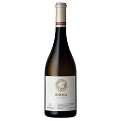 Avondale Anima Paarl WO Chenin Blanc 2022 0,75 ℓ