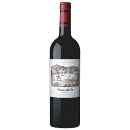 Vallisto Malbec Salta