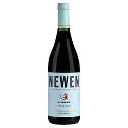Patagonia Pinot Noir IG Newen
