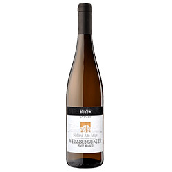 Cantina di Bolzano Pinot Bianco Südtirol - Alto Adige DOC 2024 0,75 ℓ
