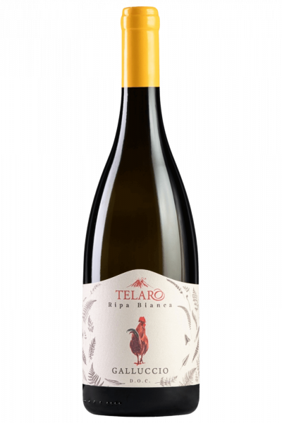 Ripa Bianca Galluccio Telaro