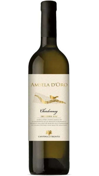 Trentino DOC Chardonnay - Amsela d'Oro
