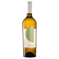 Conti Zecca Cantalupi Salento IGP Chardonnay 2024 0,75 ℓ