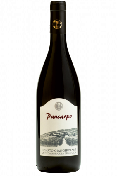 Pancarpo Donato Giangirolami