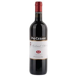 Pio Cesare Barbera d'Alba DOC 2023 0,75 ℓ
