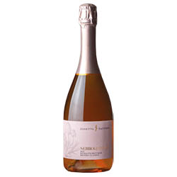 Nebbiolo d’Alba Spumante Metodo Classico Brut Rosé