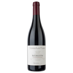 Alain Michelot Bourgogne AOC 2023 0,75 ℓ