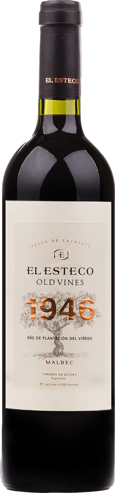 El Esteco Old Vines Malbec 2023