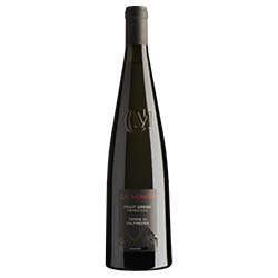 Trentino DOC Pinot Grigio Terre di Valfredda Ca' Montini