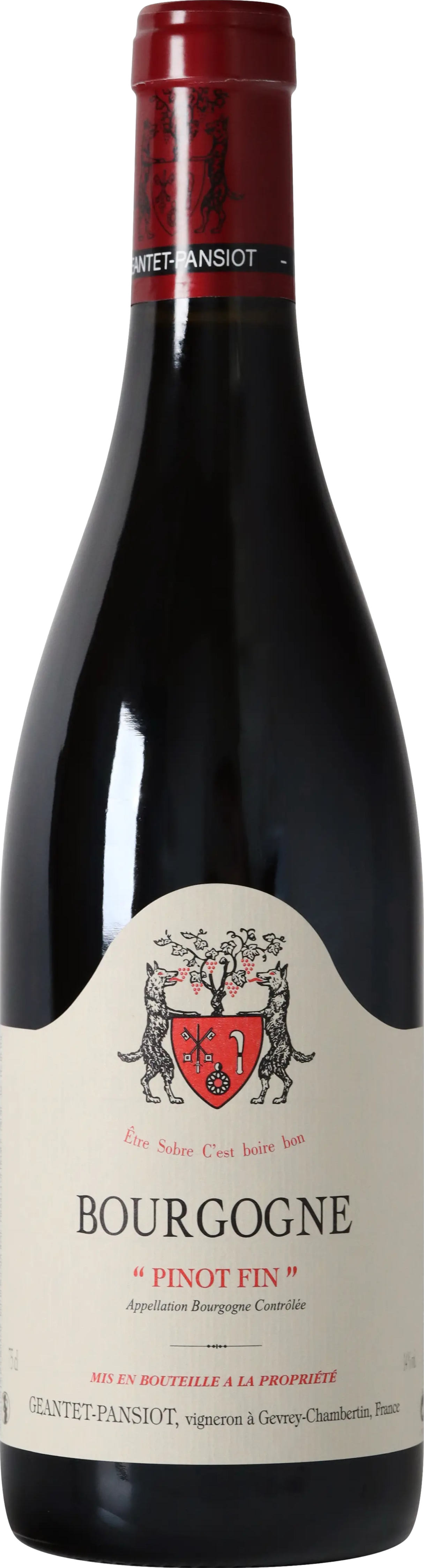 Geantet-Pansiot Bourgogne Pinot Fin 2022