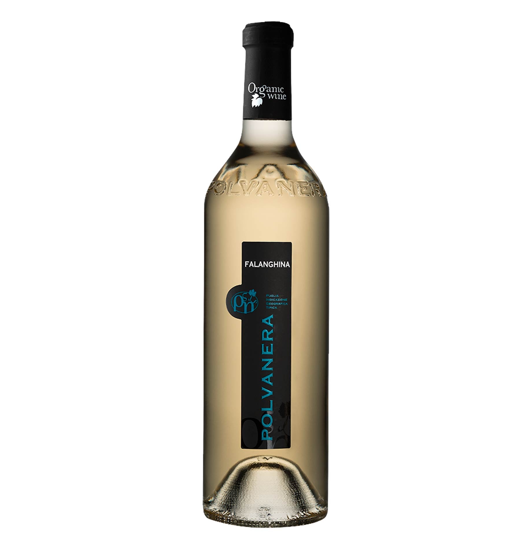 Puglia Falanghina IGT