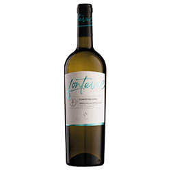 Verdicchio dei Castelli di Jesi Classico Superiore DOC Fontevecchia