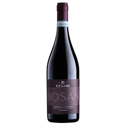 Gerardo Cesari Bosan Valpolicella Ripasso Superiore DOC 2020 0,75 ℓ