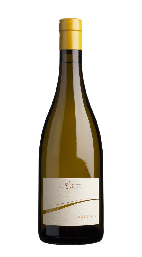 Sauvignon 'Andrius'