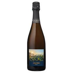 Champagne Extra Brut Caractères