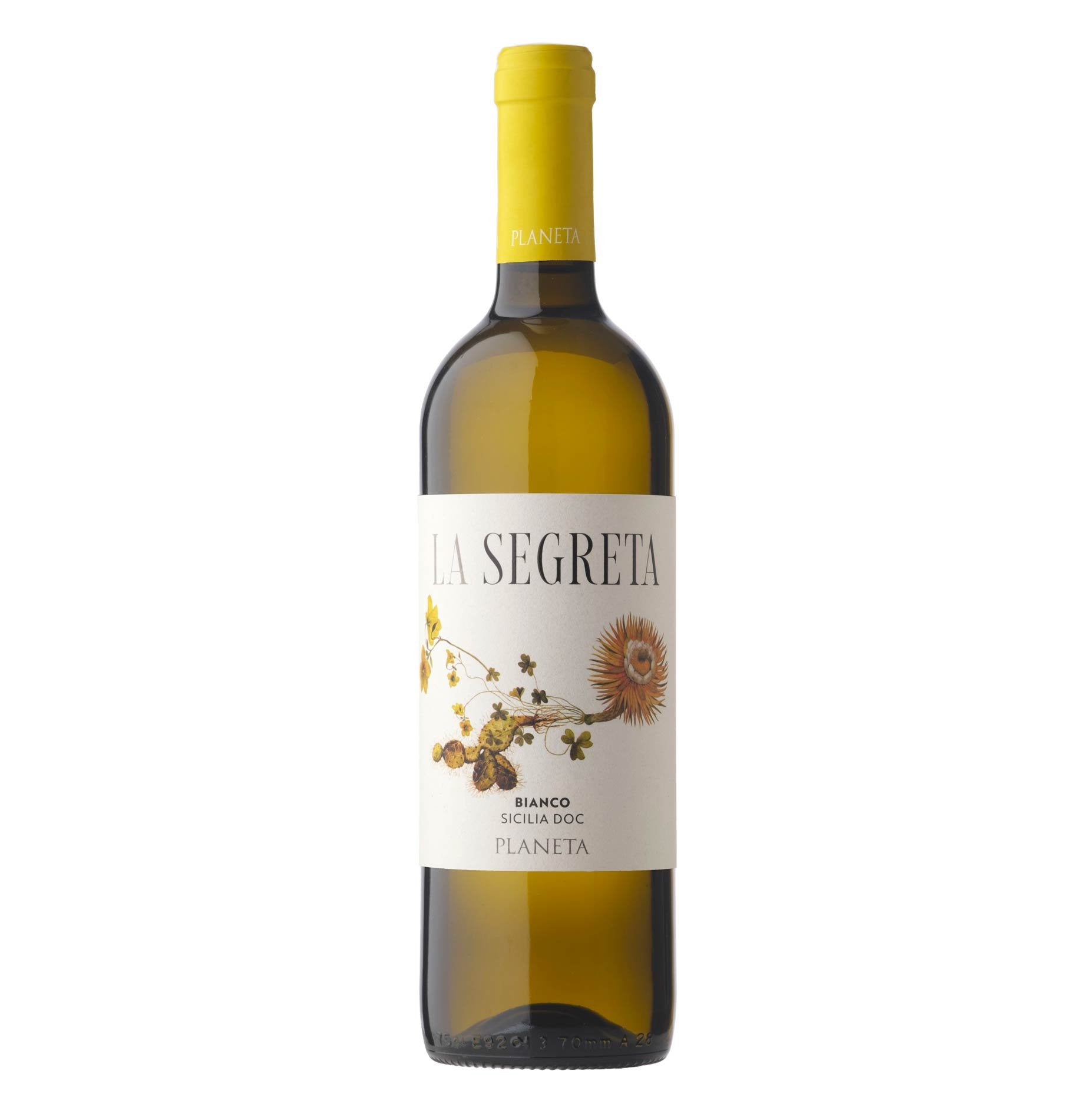 Sicilia Il Bianco La Segreta