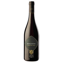 Trentino Marzemino