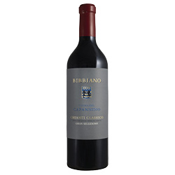 Chianti Classico Gran Selezione Vigna del Capannino