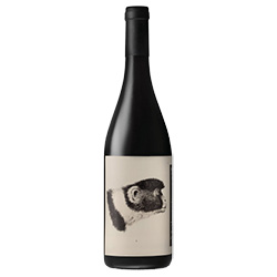 Romagna Sangiovese Predappio Godenza