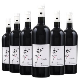 Confezione 6 bt Novello Negroamaro Salento IGT