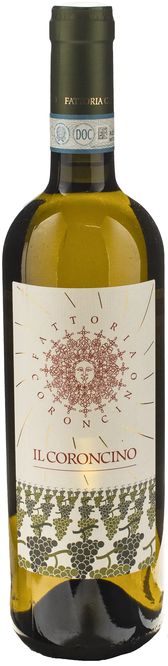 Verdicchio dei Castelli di Jesi Il Coroncino Classico Superiore