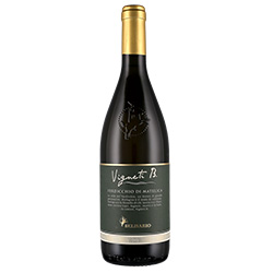 Verdicchio di Matelica Vigneti B